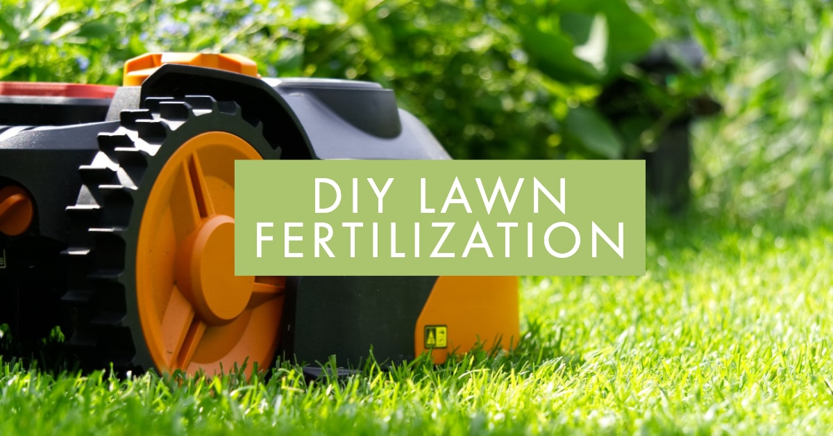 DIY Lawn Fertilization